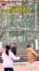高手在民间！大爷隔着围栏投篮连进三个 🏀