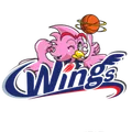 爱信飞翼女篮
